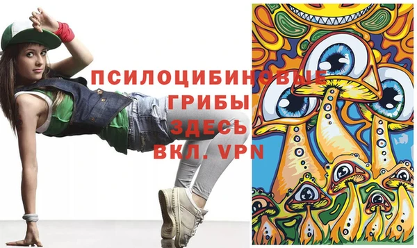 мяу мяу мука Алексин