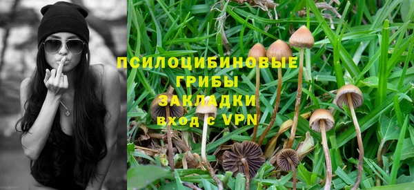 скорость Алексеевка