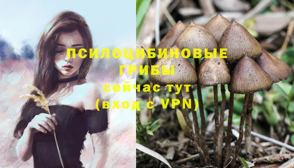 экстази Алзамай