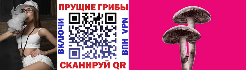 KRAKEN сайт  Лаишево  Псилоцибиновые грибы прущие грибы 
